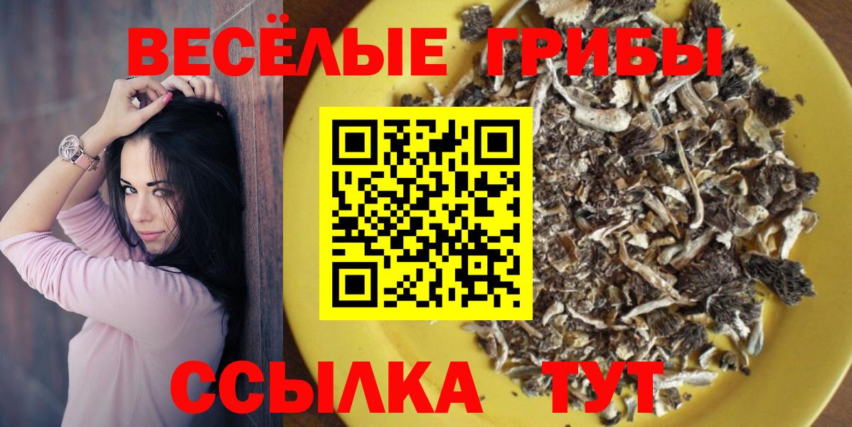 Северодвинск  Галлюциногенные грибы ЛСД  Вход с VPN  Галлюциногенные грибы прущие грибы 